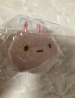 ★新品未使用★すみっコぐらし　てのりぬいぐるみ　2021年　たぴおかのサムネイル