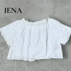 【美品】IENA シャーリングドルマンブラウス ストライプ 5分袖 麻綿 白