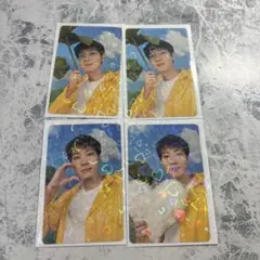 ウォヌ セブチSEVENTEENトレカheaven