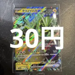 テツノイバラex