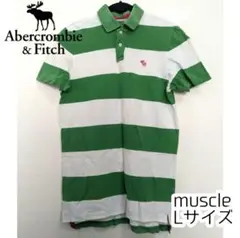Abercrombie&Fitch ポロシャツ