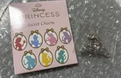 Disney Princess Secret charm シンデレラ