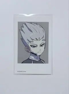 ガンマ イナズマイレブン ミニフォトカード メディコス