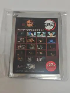 鬼滅の刃 トレーディングミニブロマイド 無限城編 コンプセット 全22種