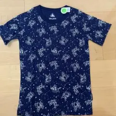 Item thumbnail for item 9496d753-7814-4cce-a97c-8173e9887738