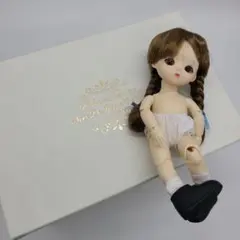 Item thumbnail for item a62f72bc-7a1c-4b77-b248-314a0de8024b