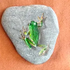 renpapa様 リクエスト 2点 まとめ商品