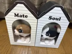 INFINITY MOON登坂広臣ØMI Mate Soulメイト ソウル - メルカリ
