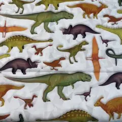 Hoffman international 恐竜　USAコットン生地