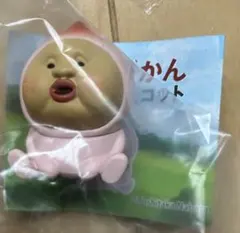 カクレモモジリ カプセルトイ