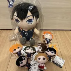 ハイキュー　ぬいぐるみ　日向　影山　おまけ付き