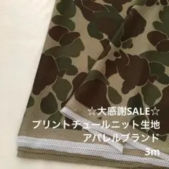 Z3L/4007-02◆3m 感謝祭/ポリプリントチュールニット生地/アパレル