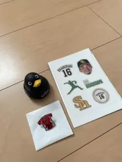 福岡ソフトバンクホークス 東浜巨投手 5点セット