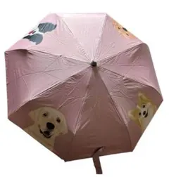 Item thumbnail for item 262b6e51-9f39-4aad-ba48-77bb0e3be4a4