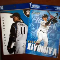 大谷翔平 下敷き 日本ハムファイターズ 2枚セット 新品未開封 大谷翔平 下敷き 日本ハムファイターズ 2枚セット 新品未開封