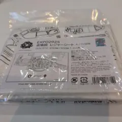 Item thumbnail for item 2f1f72fc-3c61-4aa4-b8e9-70d286bf87b9