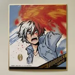 僕のヒーローアカデミア 轟焦凍　色紙