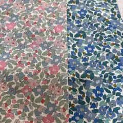 Item thumbnail for item e233a456-7145-4fef-bf36-9b459a563bf8