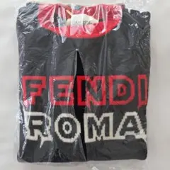 FENDI　メンズロゴニット　毛玉なしのサムネイル