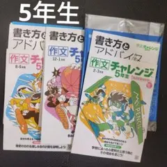 2026年最新】進研ゼミチャレンジ6年の人気アイテム - メルカリ