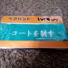 ハイキュー!! 青葉城西高校 ヘアバンド