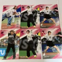 芸能人　始球式カードセット　BBM 2nd 2025