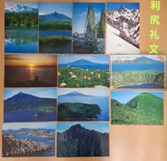 necocat様 リクエスト 2点 まとめ商品