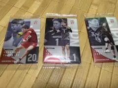 バレーボール 男子ウエハース日本代表 トレーディングカード 3枚セット