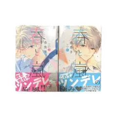 春と嵐 1巻　2巻