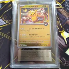 トウホクのピカチュウ ARS9