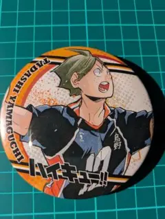 ハイキュー!! 缶バッジ 山口忠