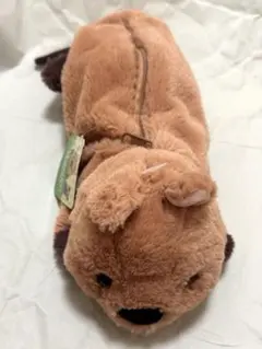 クォッカ セット