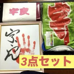 【新品未開封】尾形百之助 大判タオル 2026年最新】尾形百之助 大判タオルの人気アイテム - メルカリ