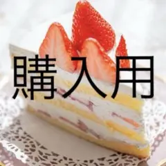 ふじこ様　購入用