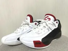 NIKE マイケルジョーダンスニーカー【美品】