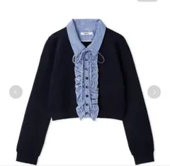 Item thumbnail for item 43152153-7498-489d-9aad-f37976ca906b