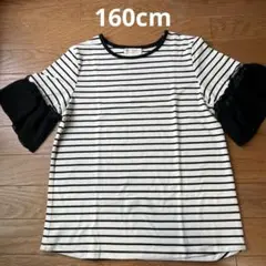 半袖　女の子　160cm
