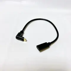 USB Type C 3.1 オス - メスタイプC延長ケール 30cm