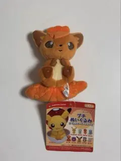 ポケモンセンター限定 プチぬいぐるみINモンスターボール ロコン