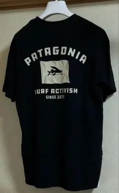 【新品】パタゴニア Fly the Flag Responsibili-Tee