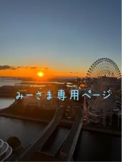 みーさま専用ページ
