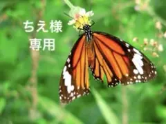 【ちえ様専用】MARC JACOBSデニム 「THE TOTEBAG」他の方は❌