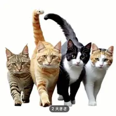 Item thumbnail for item b9f48800-7130-4842-bfc6-1276b90e76bf