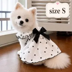 1779犬用ワンピース ハート 水玉 リボン Sサイズのサムネイル