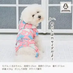 Item thumbnail for item a6e22feb-76d6-4ef4-8d34-94af3d75a073