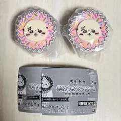 2個セット ちいかわ 手作り おやつ チャーム # 平成 女児 チョコ ラッコ