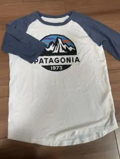 Patagonia Tシャツ 5部袖　M10のサムネイル