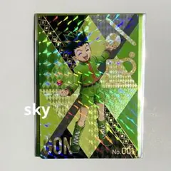 HUNTER×HUNTER ハンターハンター 銀だこ ゴン スペシャル　ホロ