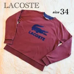 LACOSTE フロッキープリント ロゴ トレーナー バイカラー ユニセックスのサムネイル