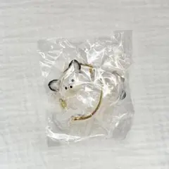 うちの子けだまだま チワワ